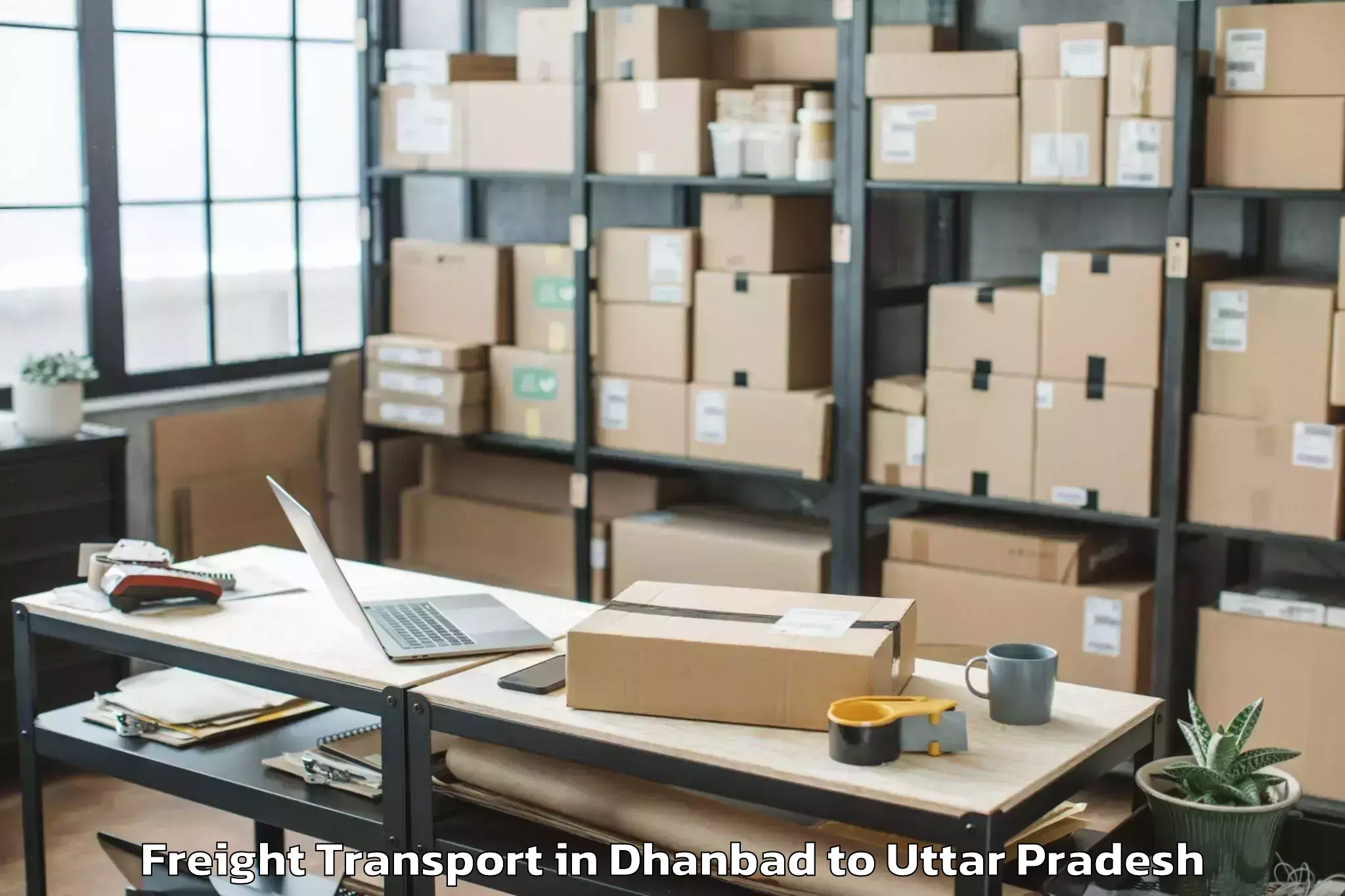 Book Dhanbad to Galgotias University Noida Freight Transport Online